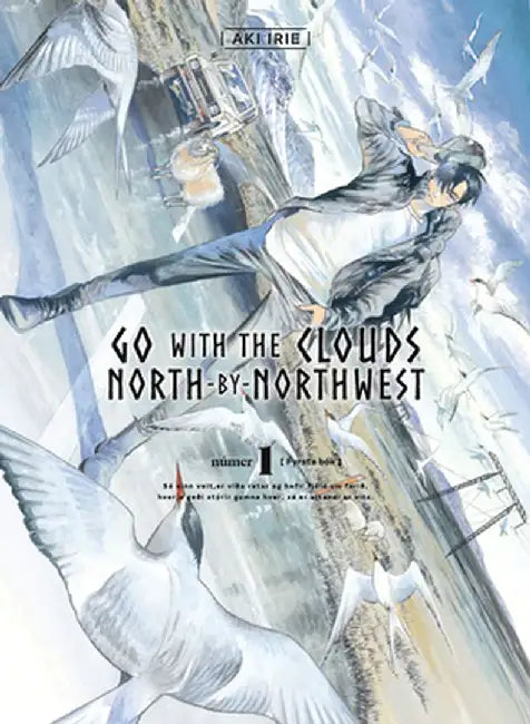 Go with the Clouds, North-Northwest, 1 by Aki Irie