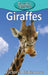 Giraffes by Victoria Blakemore