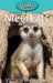 Meerkats by Victoria Blakemore