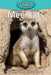 Meerkats by Victoria Blakemore