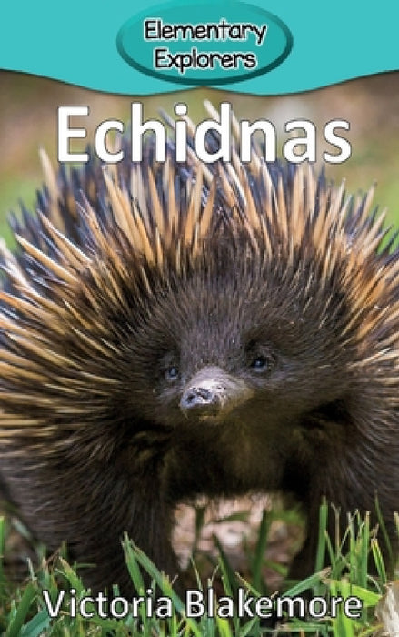 Echidnas by Victoria Blakemore
