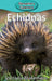 Echidnas by Victoria Blakemore