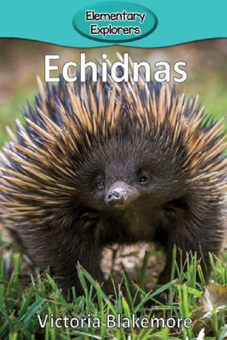 Echidnas by Victoria Blakemore