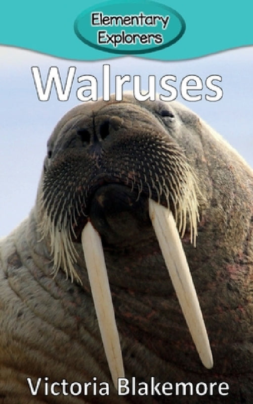 Walruses by Victoria Blakemore