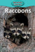 Raccoons by Victoria Blakemore