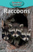 Raccoons by Victoria Blakemore