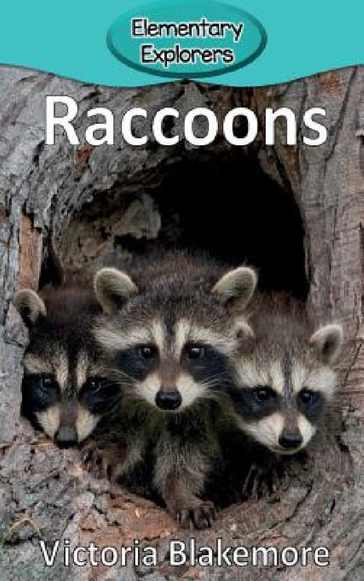 Raccoons by Victoria Blakemore