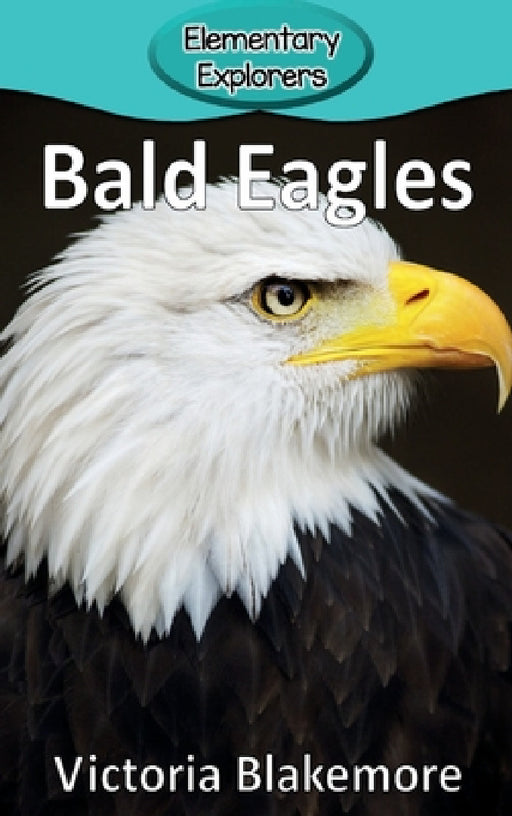 Bald Eagles by Victoria Blakemore