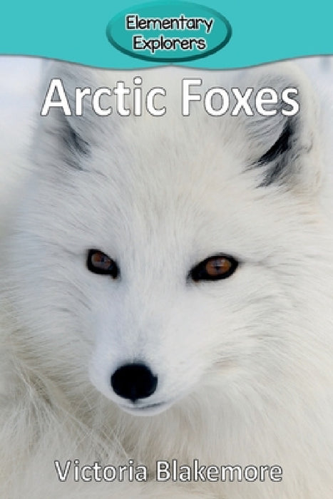 Arctic Foxes by Victoria Blakemore