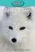 Arctic Foxes by Victoria Blakemore