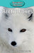Arctic Foxes by Victoria Blakemore