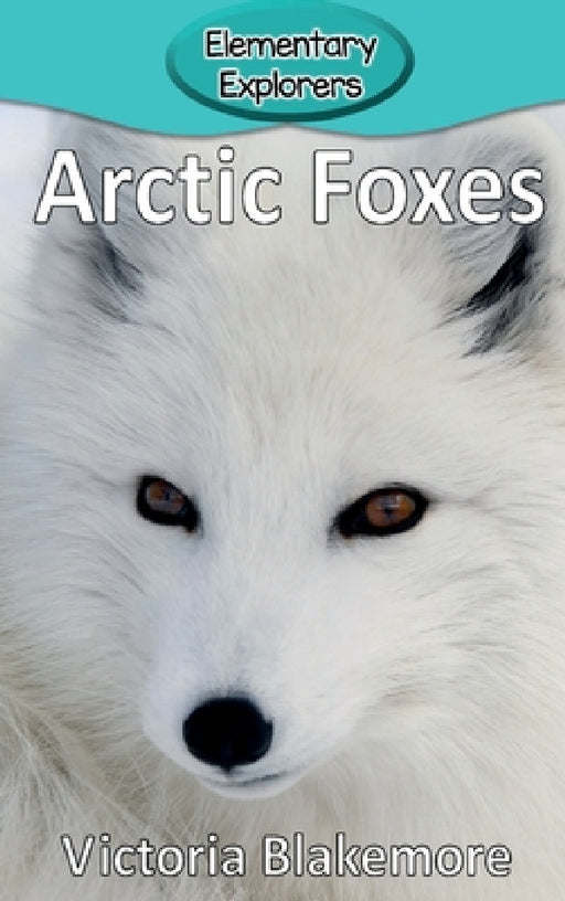 Arctic Foxes by Victoria Blakemore