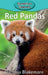 Red Pandas by Victoria Blakemore