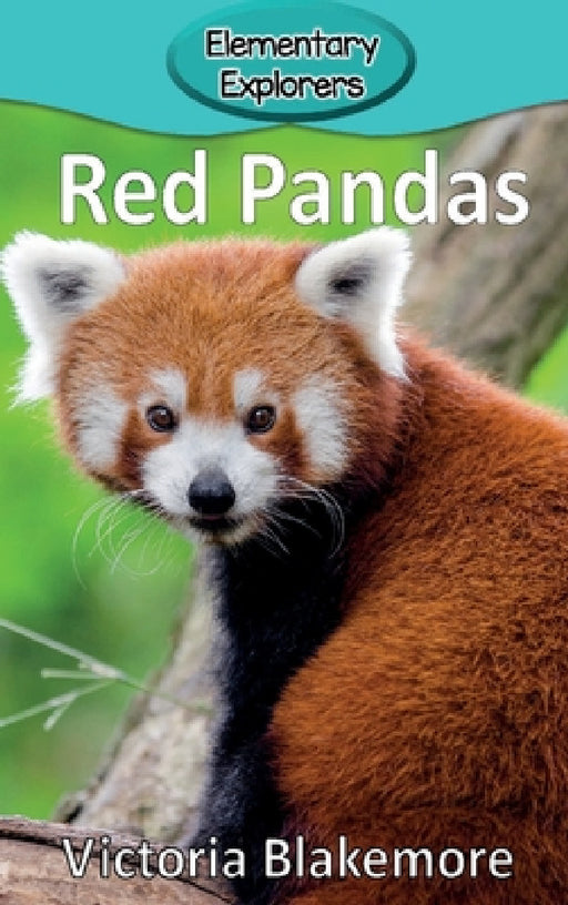 Red Pandas by Victoria Blakemore