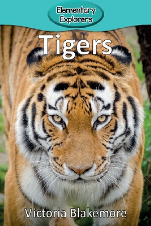 Tigers by Victoria Blakemore