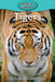 Tigers by Victoria Blakemore