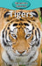 Tigers by Victoria Blakemore