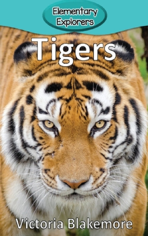 Tigers by Victoria Blakemore