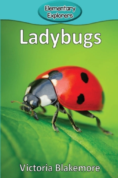 Ladybugs by Victoria Blakemore