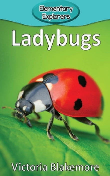 Ladybugs by Victoria Blakemore