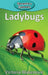 Ladybugs by Victoria Blakemore