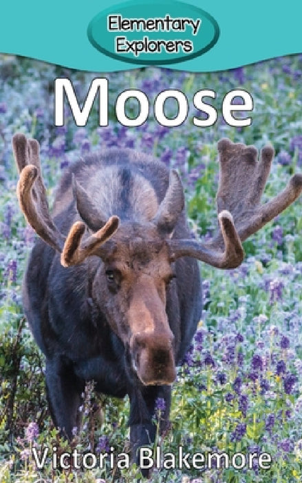 Moose by Victoria Blakemore