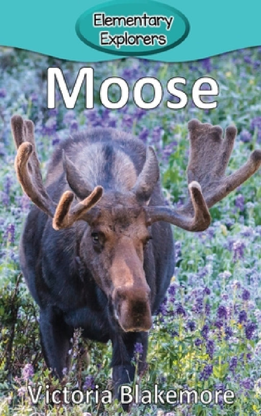 Moose by Victoria Blakemore