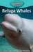 Beluga Whales by Victoria Blakemore