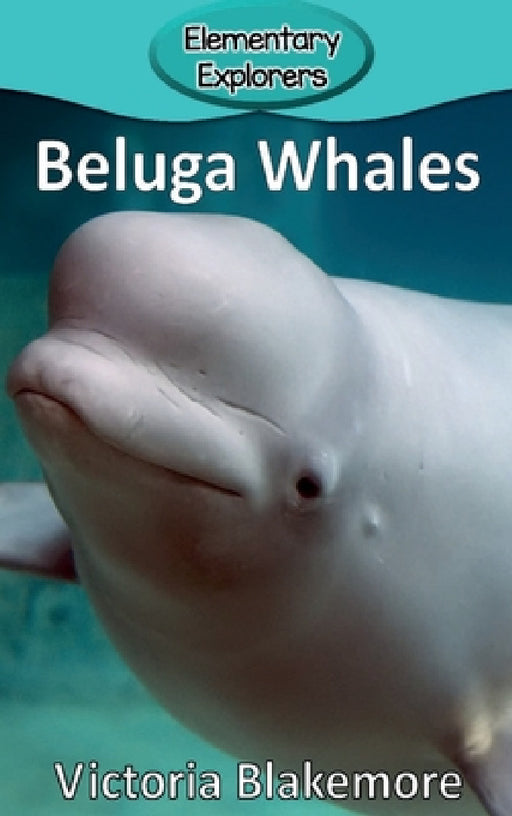 Beluga Whales by Victoria Blakemore