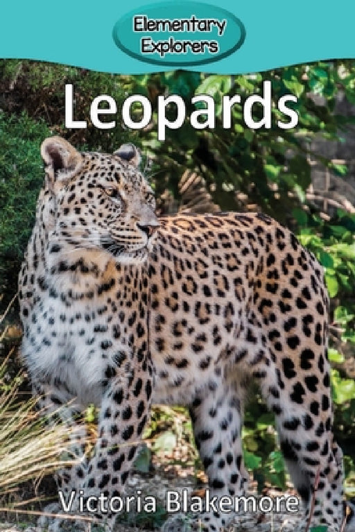 Leopards by Victoria Blakemore