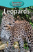 Leopards by Victoria Blakemore