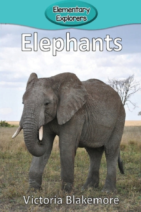 Elephants by Victoria Blakemore