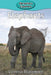Elephants by Victoria Blakemore