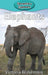 Elephants by Victoria Blakemore