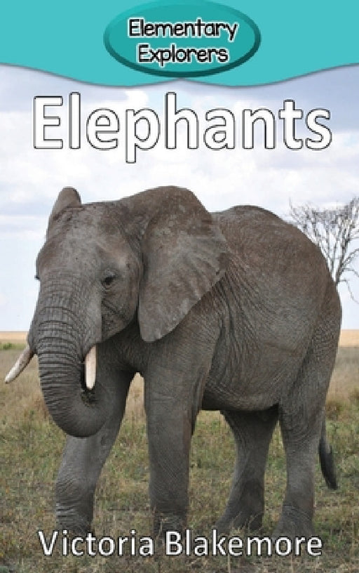 Elephants by Victoria Blakemore