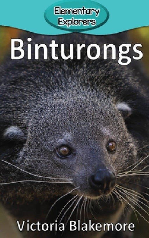Binturongs by Victoria Blakemore