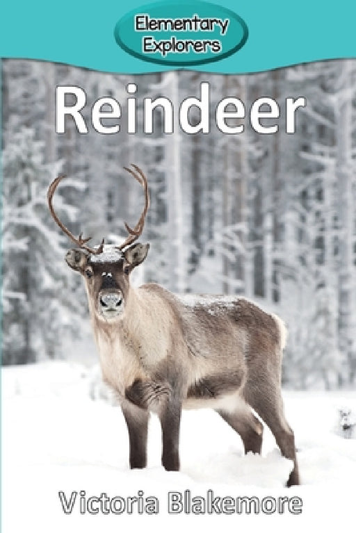 Reindeer by Victoria Blakemore