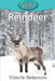 Reindeer by Victoria Blakemore