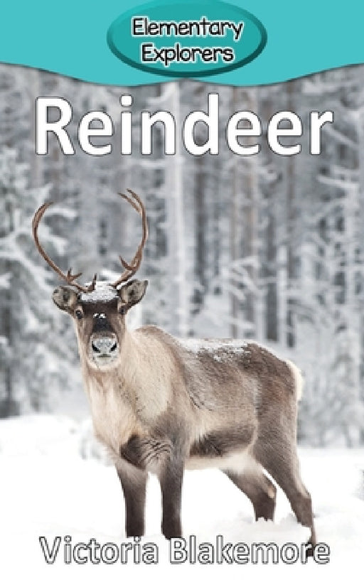 Reindeer by Victoria Blakemore