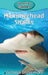 Hammerhead Sharks by Victoria Blakemore