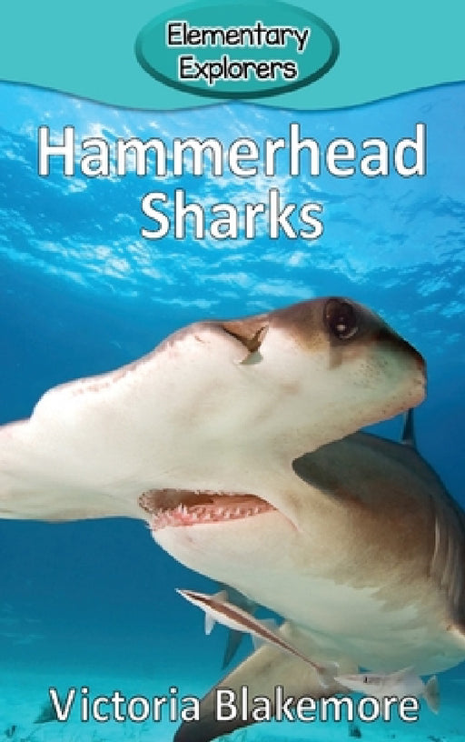 Hammerhead Sharks by Victoria Blakemore