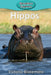 Hippos by Blakemore, Victoria