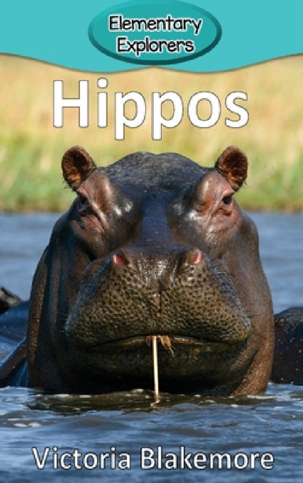 Hippos by Victoria Blakemore