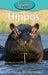 Hippos by Victoria Blakemore