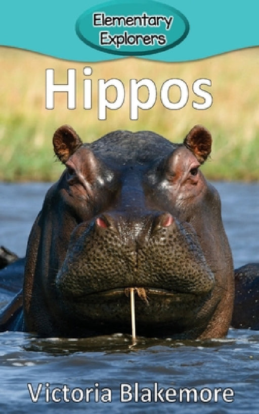Hippos by Victoria Blakemore