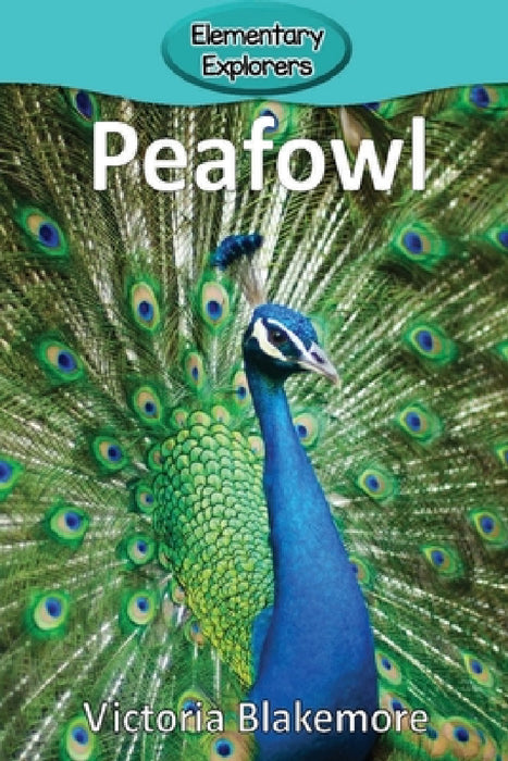Peafowl by Victoria Blakemore