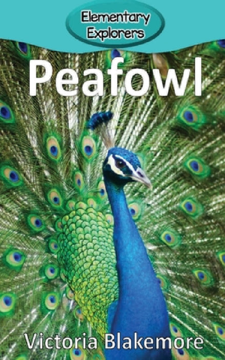 Peafowl by Victoria Blakemore