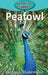 Peafowl by Victoria Blakemore