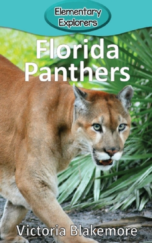 Florida Panthers by Victoria Blakemore