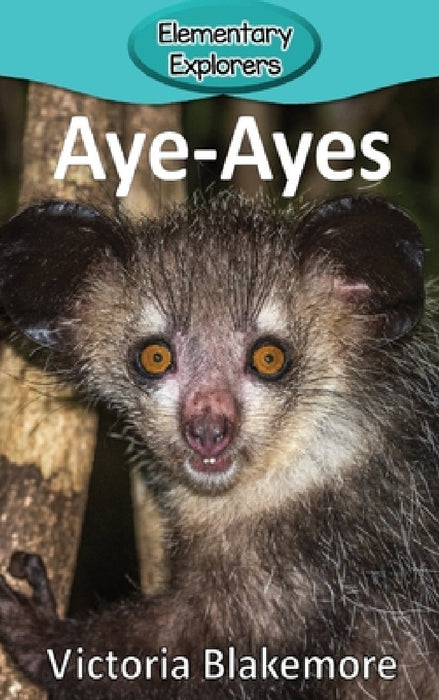Aye-Ayes by Victoria Blakemore